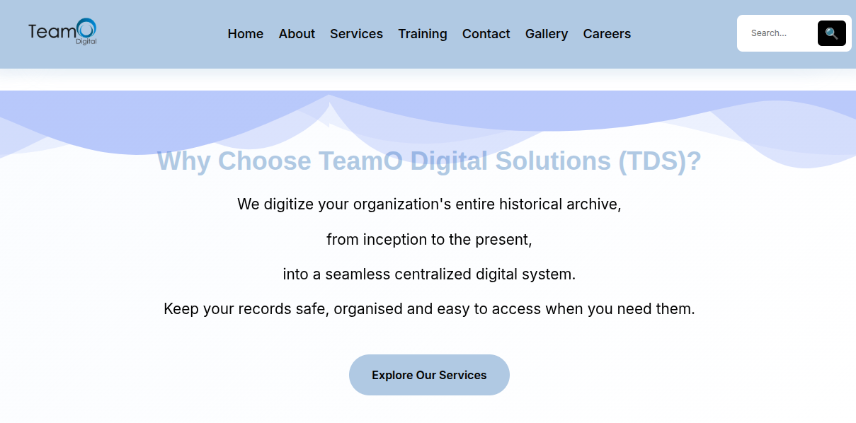 Teamo Digital Solutions — Company Management Platform
